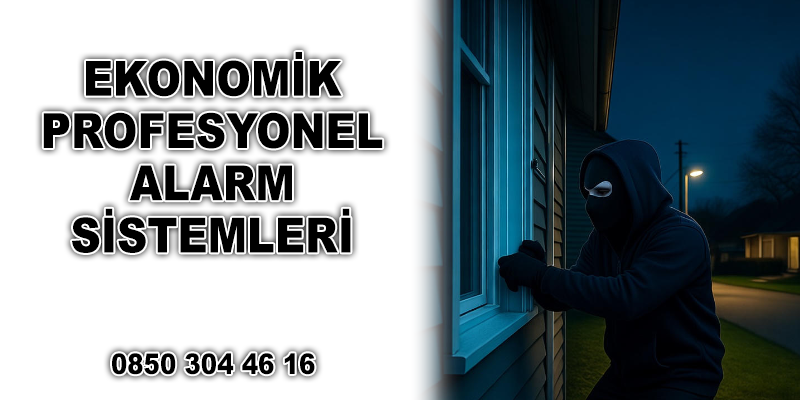 porfesyonel alarm